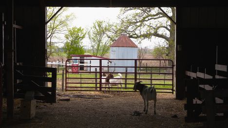 EPISODE | IOWA FARM SANCTUARY