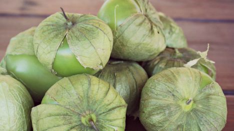 Tomatillos | Iowa Ingredient