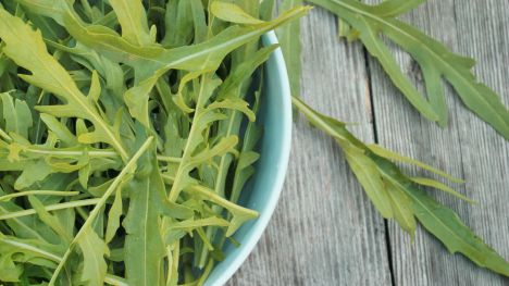 Arugula | Iowa Ingredient