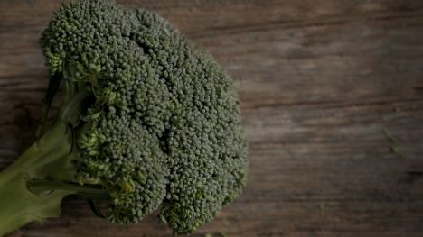 Broccoli | Iowa Ingredient