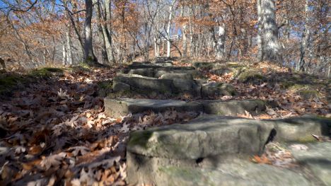 Stone steps lead to the top of the trail.