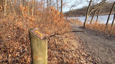 Trail post number three marks a trail alongside the river.