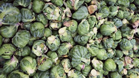 brussels sprouts