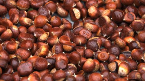Iowa Ingredient | Chestnuts (#206)