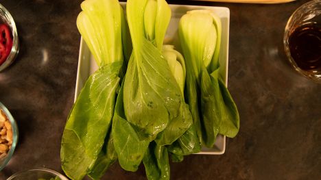 Bok Choy