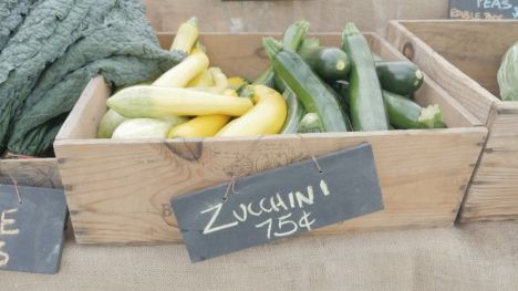 Zucchini