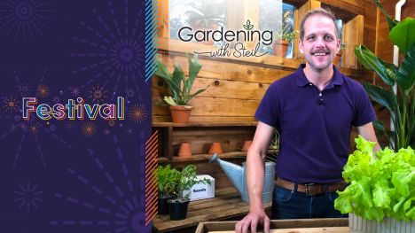 Gardening With Steil (Festival 2022 Pledge Special)
