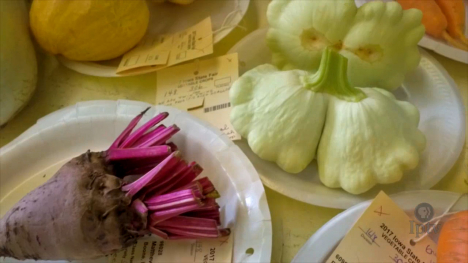 Most Unusual Vegetable Contest