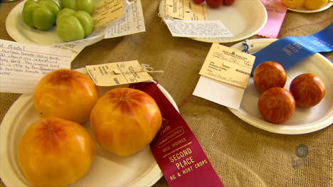 Heirloom Tomato Contest