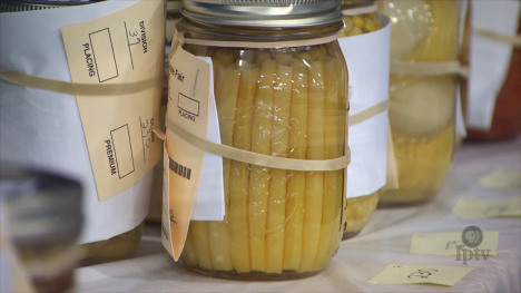 Canned Vegetables Contest