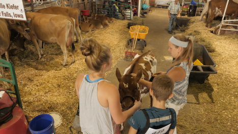 As If You Were There: Cattle Barn