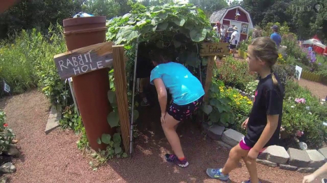 2013 Discovery Garden