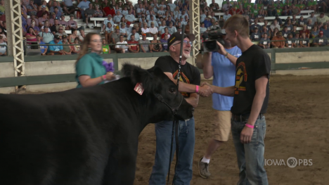 Governor's Charity Steer Show