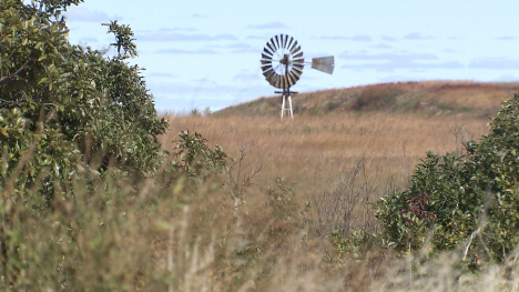 windmill