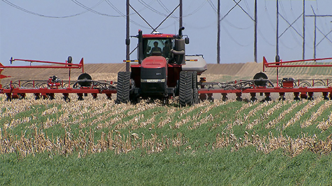 A red tractor going through a field.