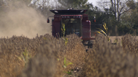 combining beans