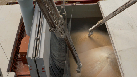 grain loading into ship