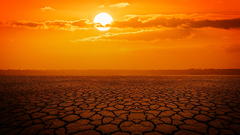 hot sun over a dry field