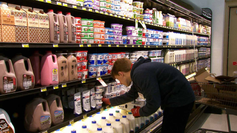 stocking milk cooler