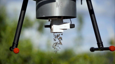 Drones Deliver Insects as Pesticide Alternative