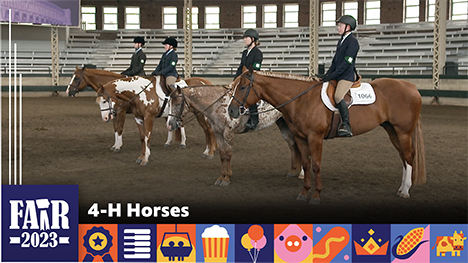 4-H Horses