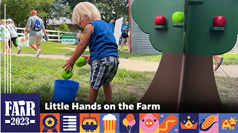 Little Hands on the Farm - A young boy drops two green apples from an artificial tree into a blue bucket.
