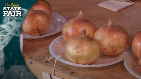 Three onions on a plate