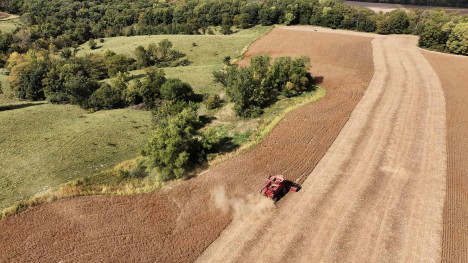 overhead shot of combine harvesting soybeans 