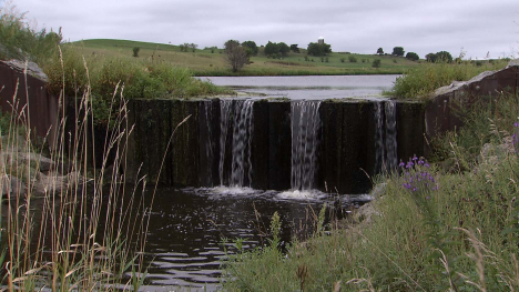 water draining from wetland into creek