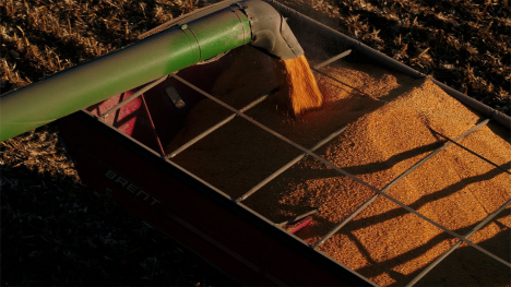 Corn dump aerial