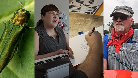 Emerald Ash Borer, Musician Emily Brown, Comic Book Artist Eric Gaptur, and Watson Station train Engineer Fonley Allen