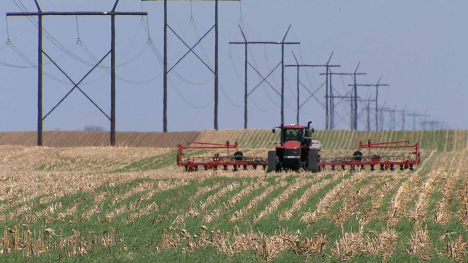 planter in field with cover crop