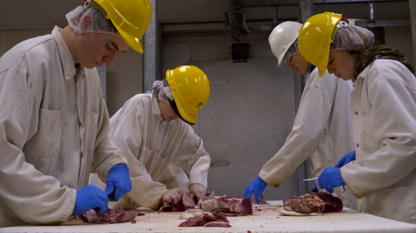 Four students cutting meat.
