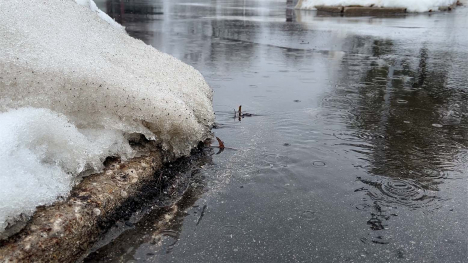 Melting snow and rain