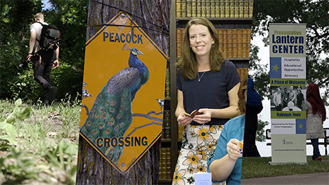 a hiker, a peacock crossing sign, a woman holding a tiny book, and Presentation Lantern Center sign.
