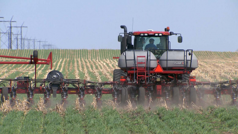 no-till planting into a cover crop
