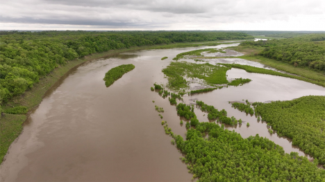 Flooded River in Iowa