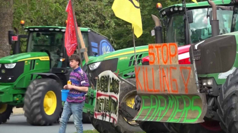 EU farmers take their complaints to the ballot box and the streets