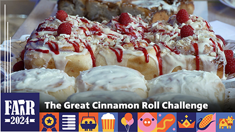 The Great Cinnamon Roll Challenge - A variety of cinnamon rolls prepped for the competition.