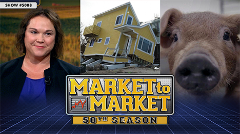 Market to Market - October 11, 2024 - Show #5008 - 50th Season (Naomi Blohm, a hurricane-damaged house and a baby pig)