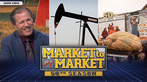 Market to Market - November 15, 2024 - Shawn Hackett, oil pump and a giant pumpkin on a scale.