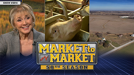 Market to Market - November 22, 2024 - Sue Martin, a pig and an aerial photo of a farm.