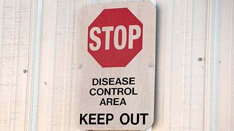 STOP - DISEASE CONTROL AREA - KEEP OUT sign.