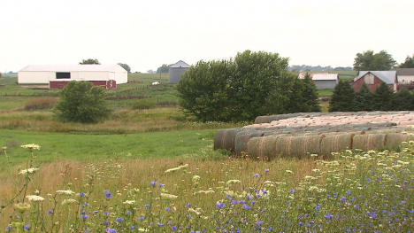 A Midwest farm