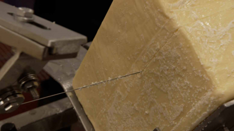 Cutting a block of cheese at the Milton Creamery