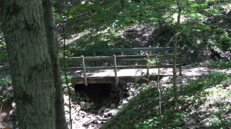 A wooden bridge on a trail in a hilly and dense forest.