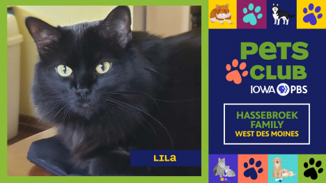 Iowa PBS Pets Club, May 15, 2025