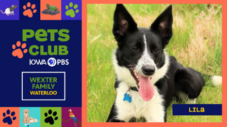 Iowa PBS Pets Club, May 22, 2025