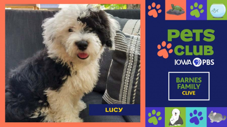 Iowa PBS Pets Club - May 29, 2025
