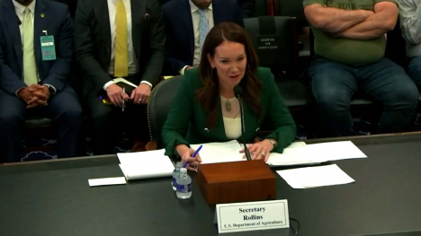Secretary of Agriculture Brooke Rollins testifies to the House Appropriations Committee. She wears a green blazer and a white blouse.
